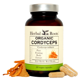 Organic Cordyceps Mushroom