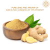Pride of India | Ginger Fine Ground 6 oz (17 gm) Small Dual Sifter Jar | Easy to Use Blends Well | Perfect for Cooking, Baking, Tea, Curries