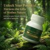 Saw Palmetto Extract with AKK Probiotics Supplement for Urinary Health Metabolism Support